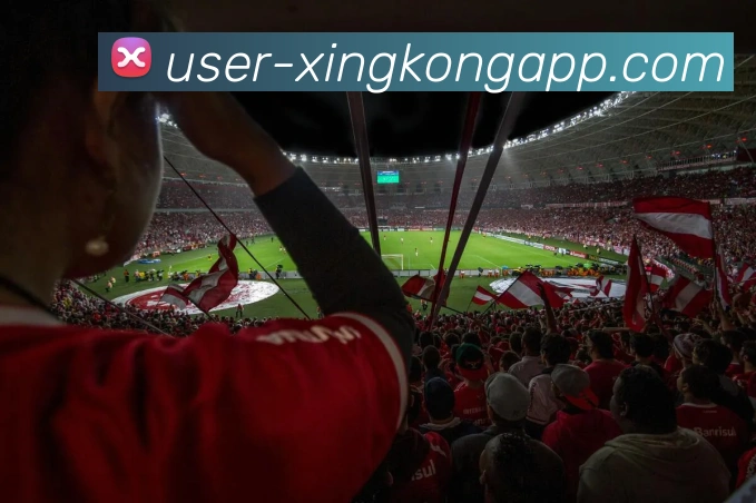 星空体育APP 封面图